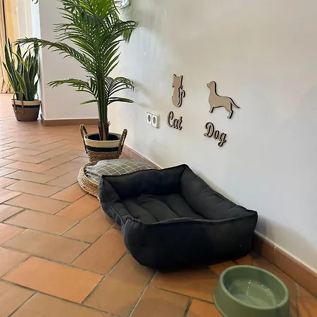 Casa Escorxada - A 150m De La Playa De Arena Con Piscina Privada Βίλα